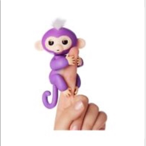 Fingerling monkey - Picture 2 of 5